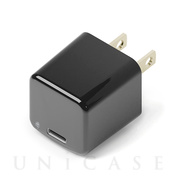 mini電源アダプタ USB-Cポート (ブラック)