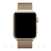 【Apple Watch バンド 41/40/38mm】ステンレスマグネットバンド (ゴールド) forApple Watch SE(第2/1世代)/Series8/7/6/5/4/3/2/1