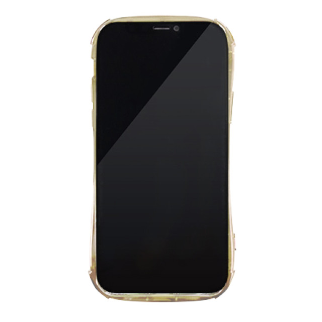 【iPhone13 Pro ケース】GLINTING PLATE CASE (Aureum)サブ画像