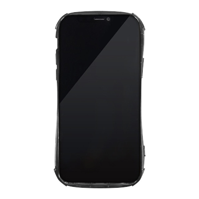 【iPhone13 Pro ケース】GLINTING PLATE CASE (Nigrum aurum)サブ画像