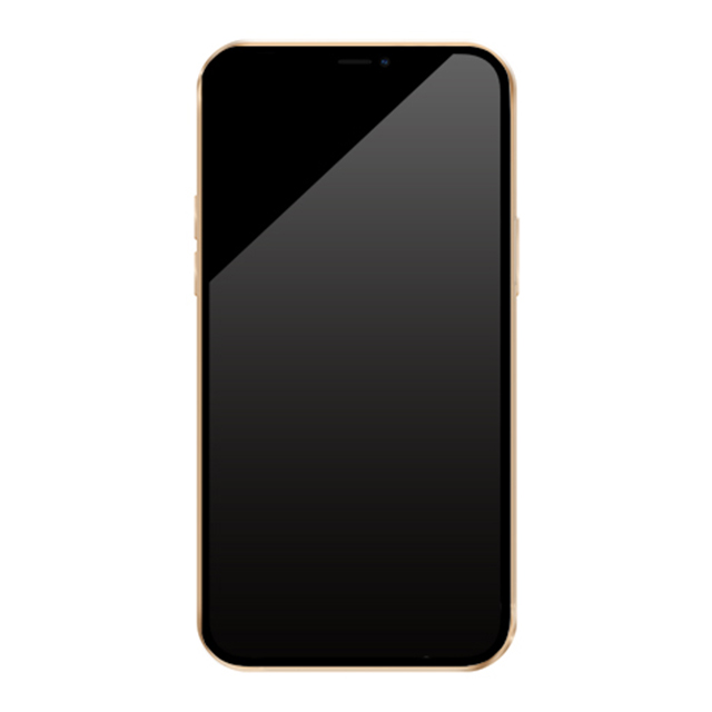 【iPhone13 Pro ケース】LUXURY CLEAR CASE (Black Gold)サブ画像