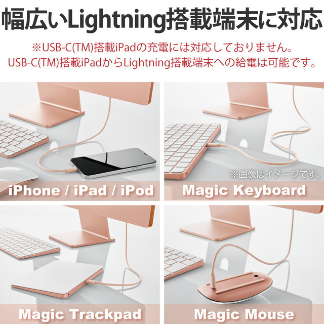 USB-C to Lightningケーブル (スタンダード) (オレンジ)サブ画像
