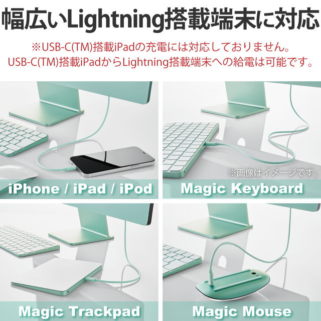 USB-C to Lightningケーブル (スタンダード) (グリーン)goods_nameサブ画像