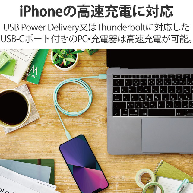 USB-C to Lightningケーブル (スタンダード) (グリーン)goods_nameサブ画像