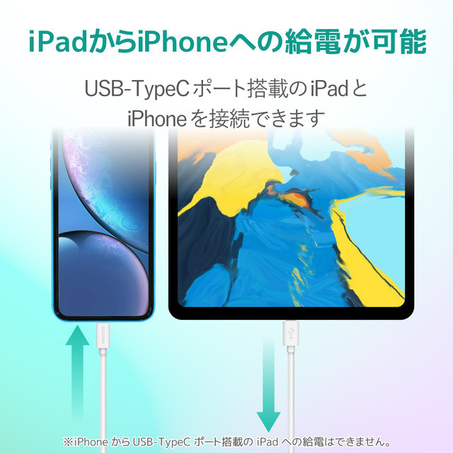 USB-C to Lightningケーブル (やわらか) (2.0m ホワイト)サブ画像