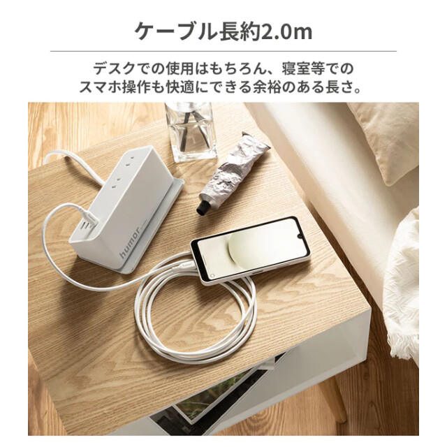 USB 2.0 CABLE TYPE-C to TYPE-C 2.0m (ベージュ)サブ画像