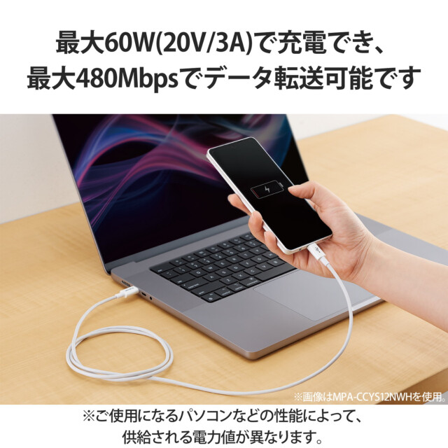 USB Type-C to USB Type-Cケーブル/USB Power Delivery対応/やわらか耐久 (0.3m/ホワイト)サブ画像