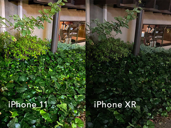 iPhone 11とiPhone XR ナイトモード撮影