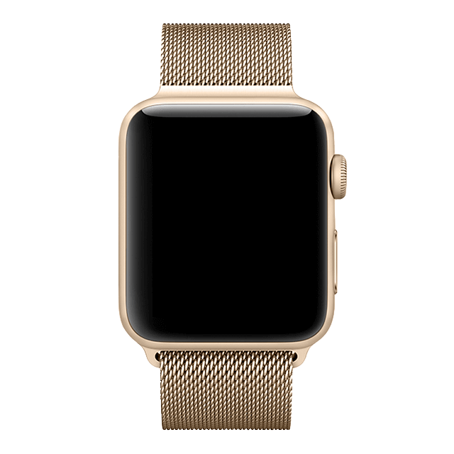 【Apple Watch バンド 45/44/42mm】ステンレスマグネットバンド (ゴールド) for Apple Watch SE/Series7/6/5/4/3/2/1
