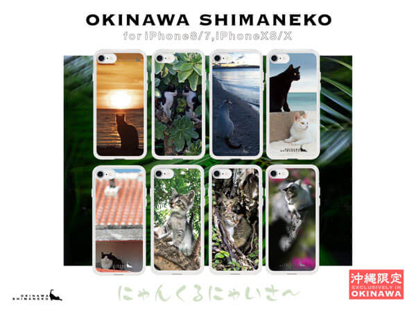 【沖縄限定】Okinawa Shimaneko Case