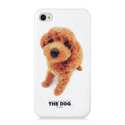 【iPhone4S/4】The Dog iPhone 4 -Poodle