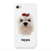 【iPhone4S/4】The Dog iPhone 4 -Maltese