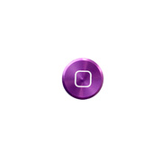 iCharm Home Button Accessory Alu...