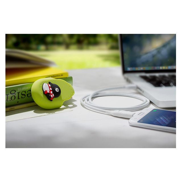 iDualink-USB-C (Penguin)サブ画像