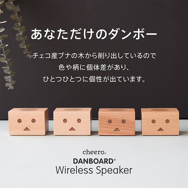 DANBOARD wireless speakerサブ画像