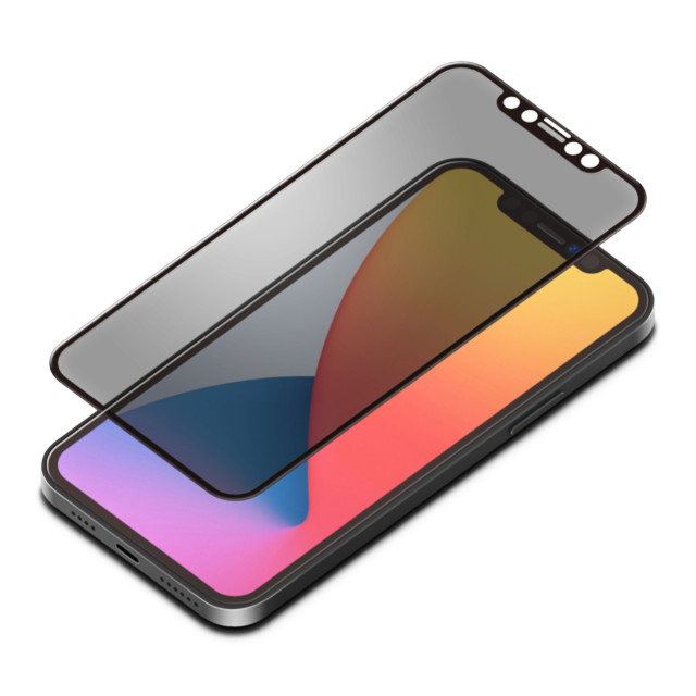 【iPhone12 Pro Max フィルム】治具付き Dragontrail液晶全面保護ガラス (覗き見防止)サブ画像