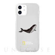 【iPhone12 mini ケース】Into the Wild Jell-hard Case (Whale)